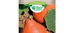 Potiron POTIMARRON - LES DOIGTS VERTS