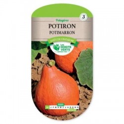 Potiron POTIMARRON - LES DOIGTS VERTS