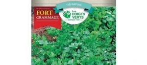 Persil Commun 2 - LES DOIGTS VERTS