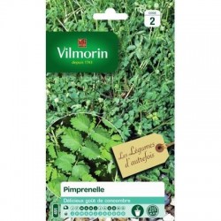 Pimprenelle - VILMORIN