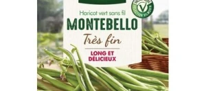 Haricot vert sans fil MONTEBELLO - VILMORIN