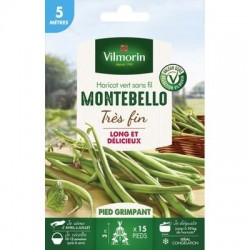 Haricot vert sans fil MONTEBELLO - VILMORIN