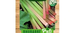 Rhubarbe VICTORIA BIO - VILMORIN