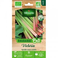 Rhubarbe VICTORIA BIO - VILMORIN