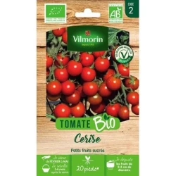 Tomate CERISE BIO - VILMORIN