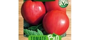 Tomate CUOR DI BUE (Cœur de bœuf) BIO - VILMORIN