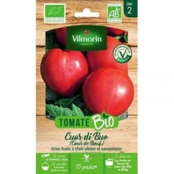 Tomate CUOR DI BUE (Cœur de bœuf) BIO - VILMORIN