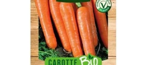 Carotte NANTAISE AMÉLIORÉE 3 BIO - VILMORIN