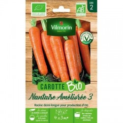 Carotte NANTAISE AMÉLIORÉE 3 BIO - VILMORIN