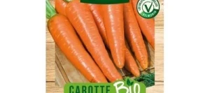 Carotte de COLMAR à CŒUR ROUGE 2 BIO - VILMORIN