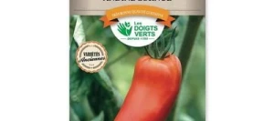 Tomate ANDINE CORNUE - LES DOIGTS VERTS
