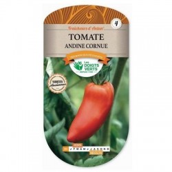 Tomate ANDINE CORNUE - LES DOIGTS VERTS