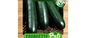 Courgette VERTE NOIRE MARAÎCHÈRE BIO - VILMORIN