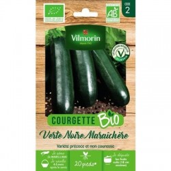 Courgette VERTE NOIRE MARAÎCHÈRE BIO - VILMORIN