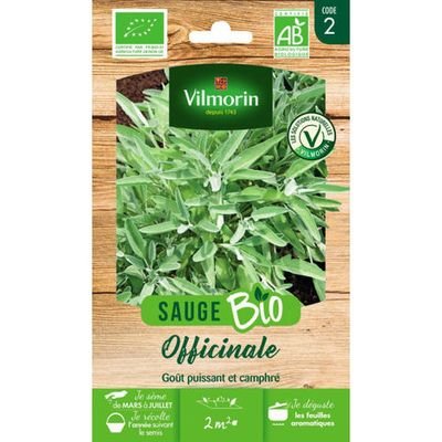 Récolte et conservation de la sauge officinale