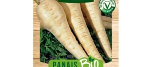 Panais De GUERNESEY BIO - VILMORIN