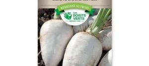 Navet Blanc Dur d'Hiver - LES DOIGTS VERTS