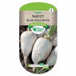 Navet Blanc Dur d'Hiver - LES DOIGTS VERTS