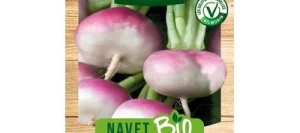 Navet de MILAN Rouge Extra-hâtif à châssis BIO - VILMORIN