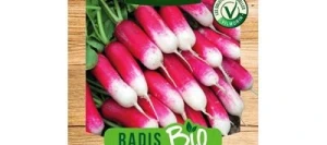 Radis FLAMBOYANT 2 BIO - VILMORIN