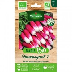 Radis FLAMBOYANT 2 BIO - VILMORIN