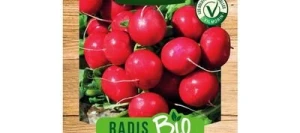 Radis SAXA 2 BIO - VILMORIN