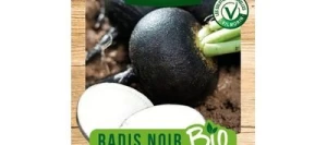 Radis Noir Gros Rond d'hiver BIO - VILMORIN