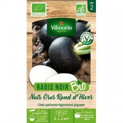 Radis Noir Gros Rond d'hiver BIO - VILMORIN