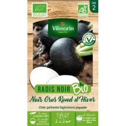 Radis Noir Gros Rond d'hiver BIO - VILMORIN