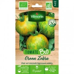 Tomate GREEN ZEBRA BIO - VILMORIN