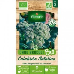 Chou Brocoli CALABREZE NATALINO BIO - VILMORIN