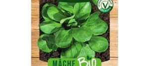 Mâche BARON BIO - VILMORIN