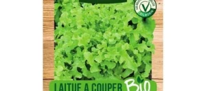 Laitue à couper SALAD BOWL VERTE BIO - VILMORIN