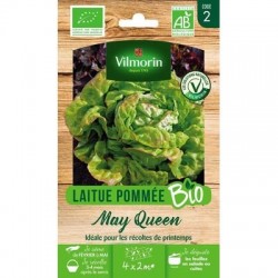 Laitue Pommée MAY QUEEN BIO - VILMORIN