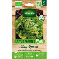 Laitue Pommée MAY QUEEN BIO - VILMORIN