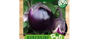 Aubergine  VIOLETTA DI FIRENZE BIO - VILMORIN