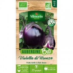 Aubergine  VIOLETTA DI FIRENZE BIO - VILMORIN