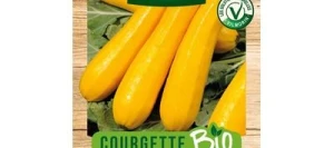 Courgette GOLD RUSH BIO - VILMORIN