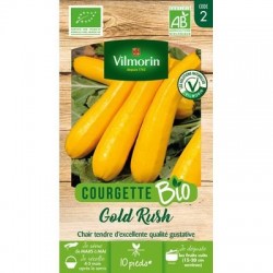 Courgette GOLD RUSH BIO - VILMORIN