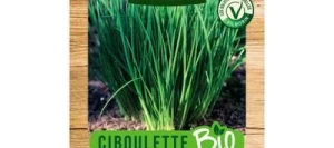 Ciboulette Très Fine DANOISE BIO - VILMORIN