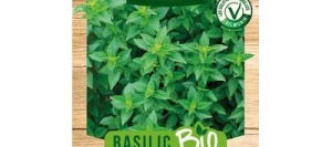 Basilic Fin Vert BIO - VILMORIN