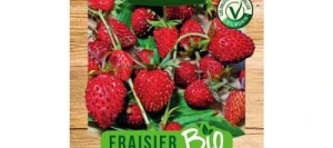 Fraisier des Bois BIO - VILMORIN