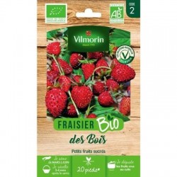 Fraisier des Bois BIO - VILMORIN