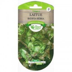 Laitue Batavia SIERRA - LES DOIGTS VERTS