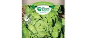 Laitue pommée APPIA - LES DOIGTS VERTS