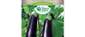 Aubergine DE BARBENTANE - LES DOIGTS VERTS