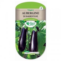 Aubergine DE BARBENTANE - LES DOIGTS VERTS