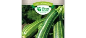 Courgette VERTE NON COUREUSE D'ITALIE - LES DOIGTS VERTS
