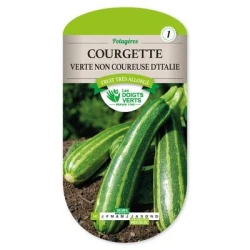 Courgette VERTE NON COUREUSE D'ITALIE - LES DOIGTS VERTS