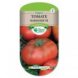 Tomate MARMANDE V.R - LES DOIGTS VERTS